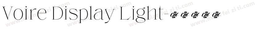 Voire Display Light字体转换
